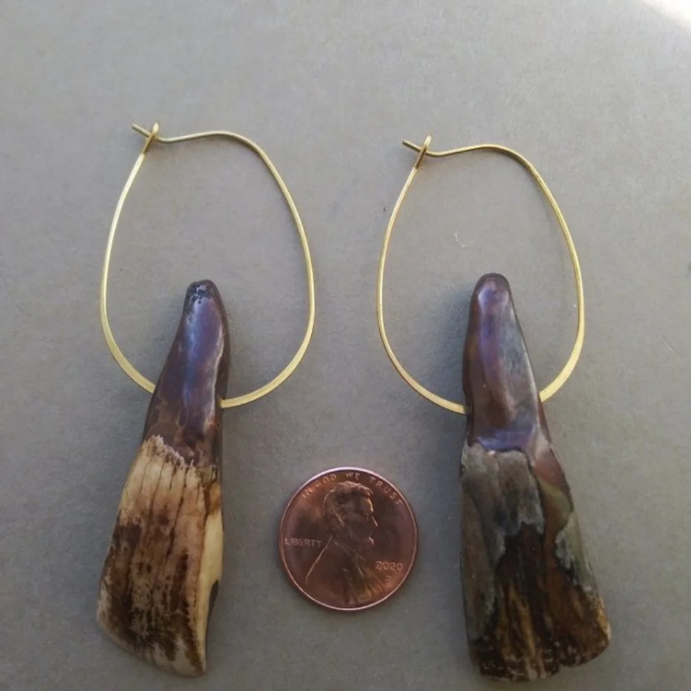 Authentic American Buffalo Teeth on Brass Hoops - Picture 6 of 7